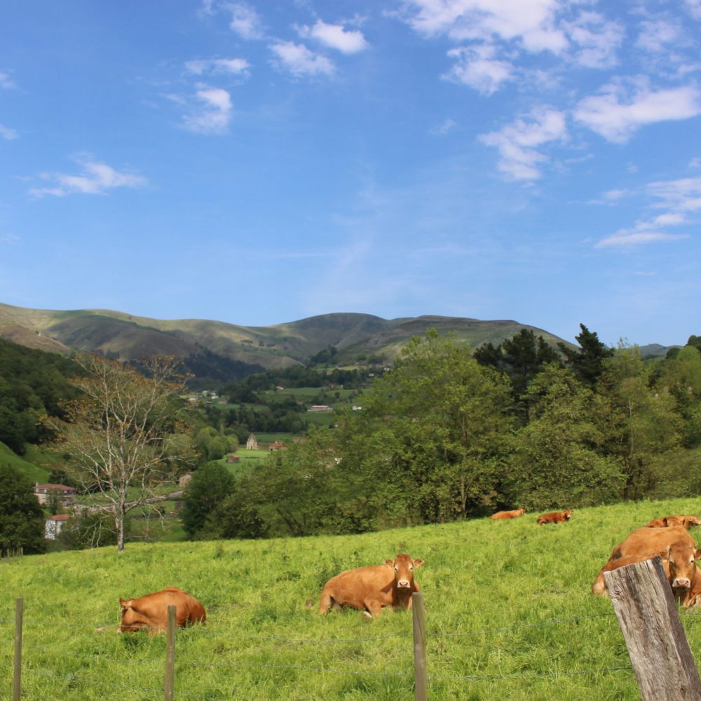Valles Pasiegos, el secreto mejor guardado de Cantabria